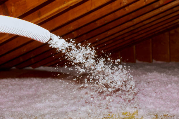 Best Geographic-Specific Insulation Services in Flora Vista, NM
