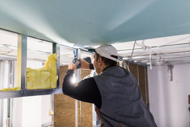 Best Residential Insulation in Flora Vista, NM