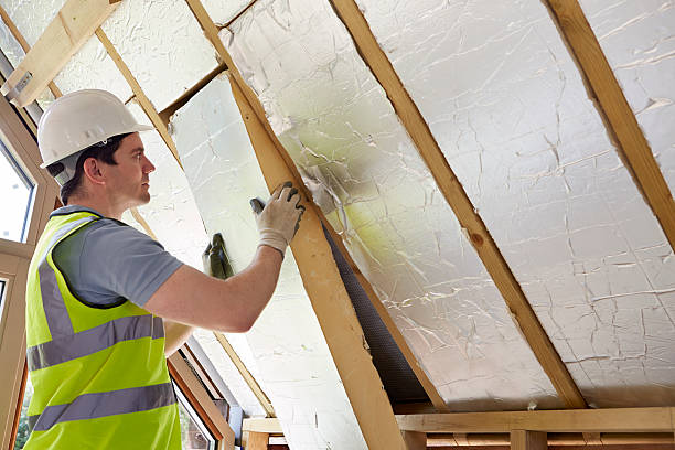 Best Fiberglass Insulation in Flora Vista, NM